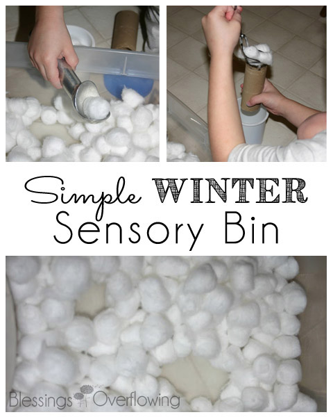 Simple Winter Sensory Bin