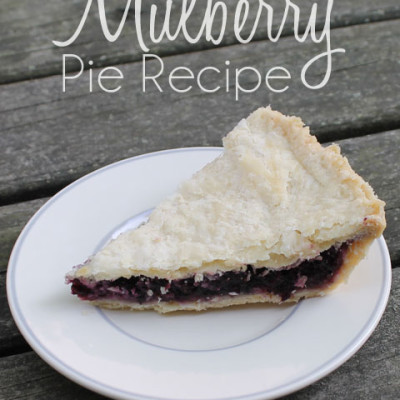 Mulberry Pie Recipe