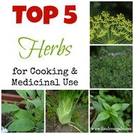 Top 5 Herbs To Grow