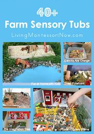 40+ Farm Sensory Tub