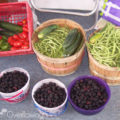Garden Blessings July 2007