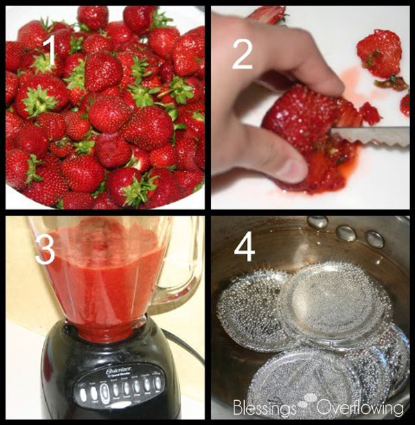 Strawberry Jam Tutorial 1