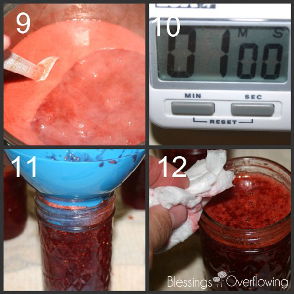 Strawberry Jam Tutorial 3