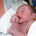 Newborn Baby