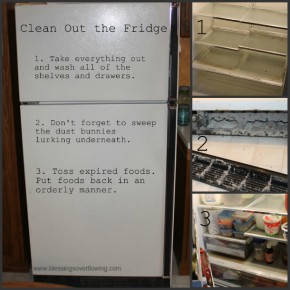 clean the fridge