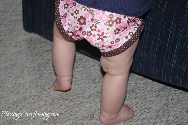 Baby Basics:  Diapering Choices for Baby
