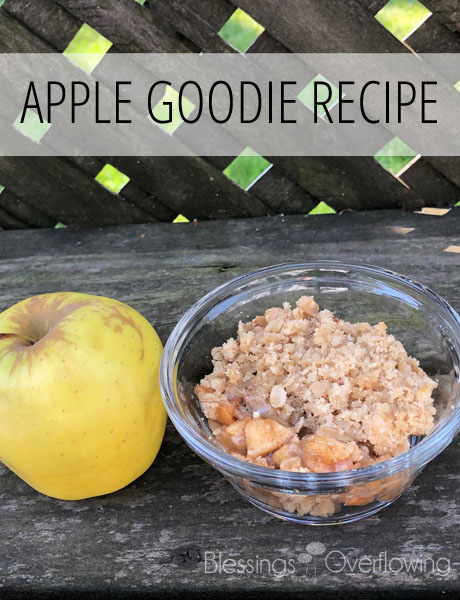 Apple (or Zucchini) Goodie Recipe