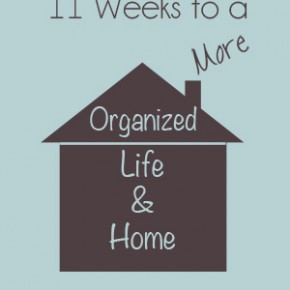 11 weeks button