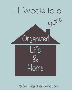 Week 11 in Review