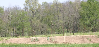 The Garden Has Been Planted!