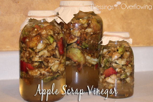 Apple Scrap Vinegar