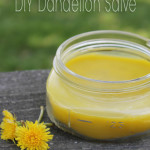 DIY Dandelion Salve