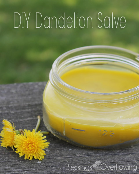 DIY Dandelion Salve