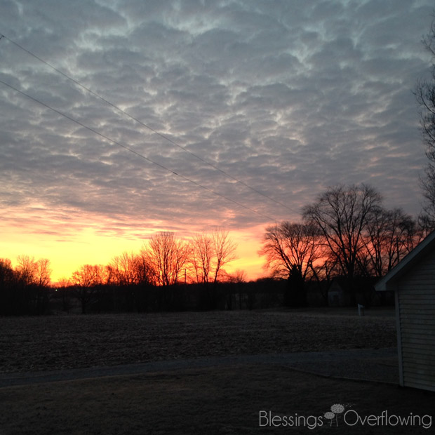 sunrise