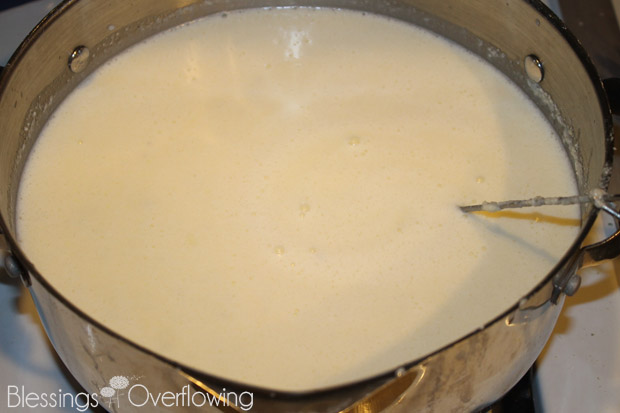 Alfredo 2