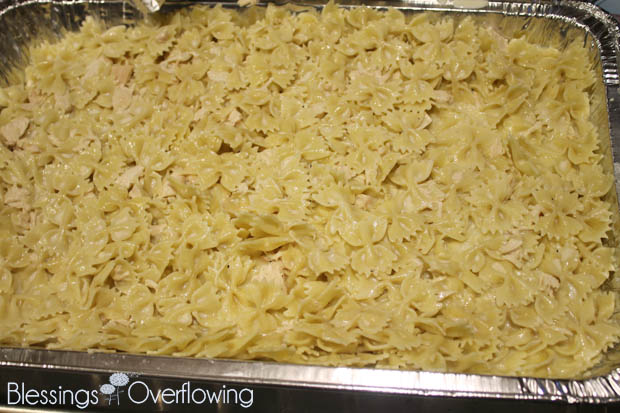 Alfredo 3