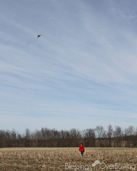 Flying a Kite April 2015