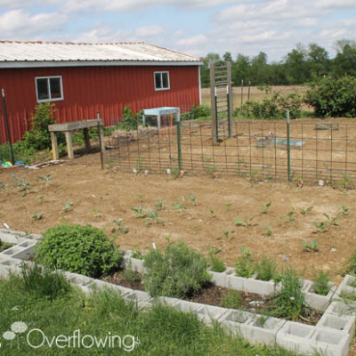 {Garden Update} The Garden Has Been Planted