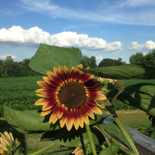 What I’m Into {July 2015}