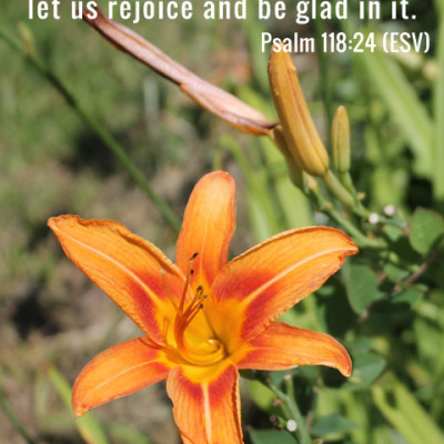 The Beauty in Each Day